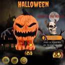 CALABAZA CAMINANTE 18 cm
